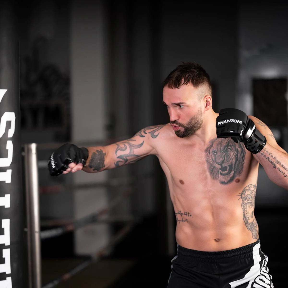 Phantom Athletics MMA Hybrid Handschuhe APEX