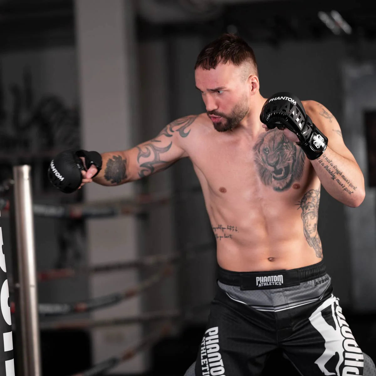 Phantom Athletics MMA Sparring Handschuhe APEX