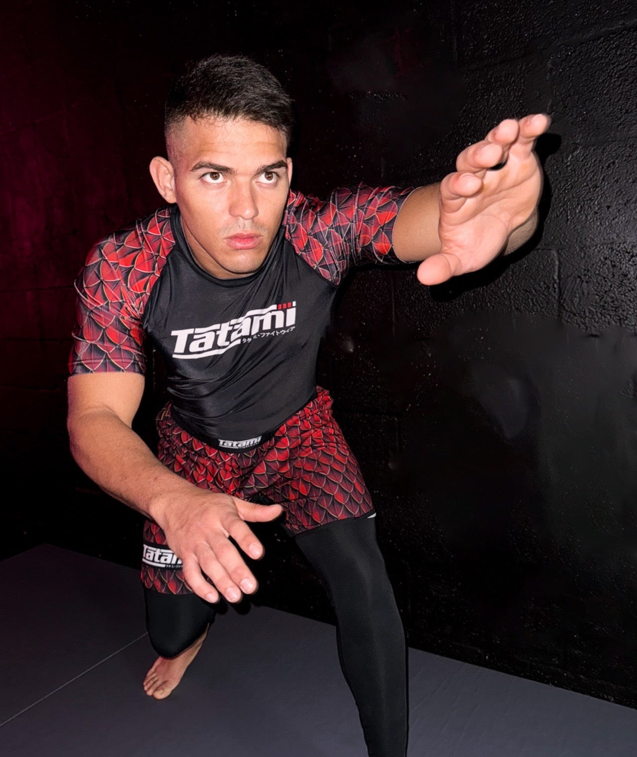 Tatami Recharge Rash Guard - Dragon - FIGHTWEAR