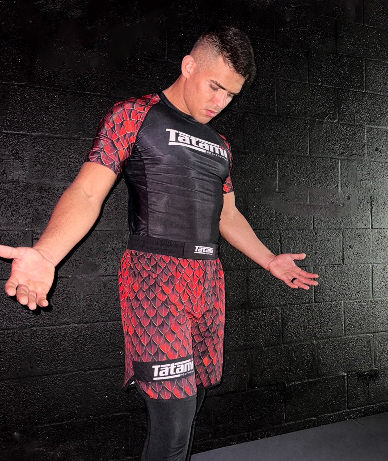 Tatami Recharge Rash Guard - Dragon - FIGHTWEAR