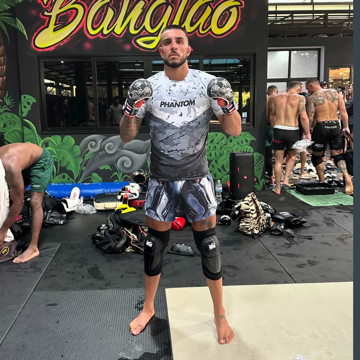 Phantom Athletics Sparring Handschuhe Muay Thai - Limited Silver Edition