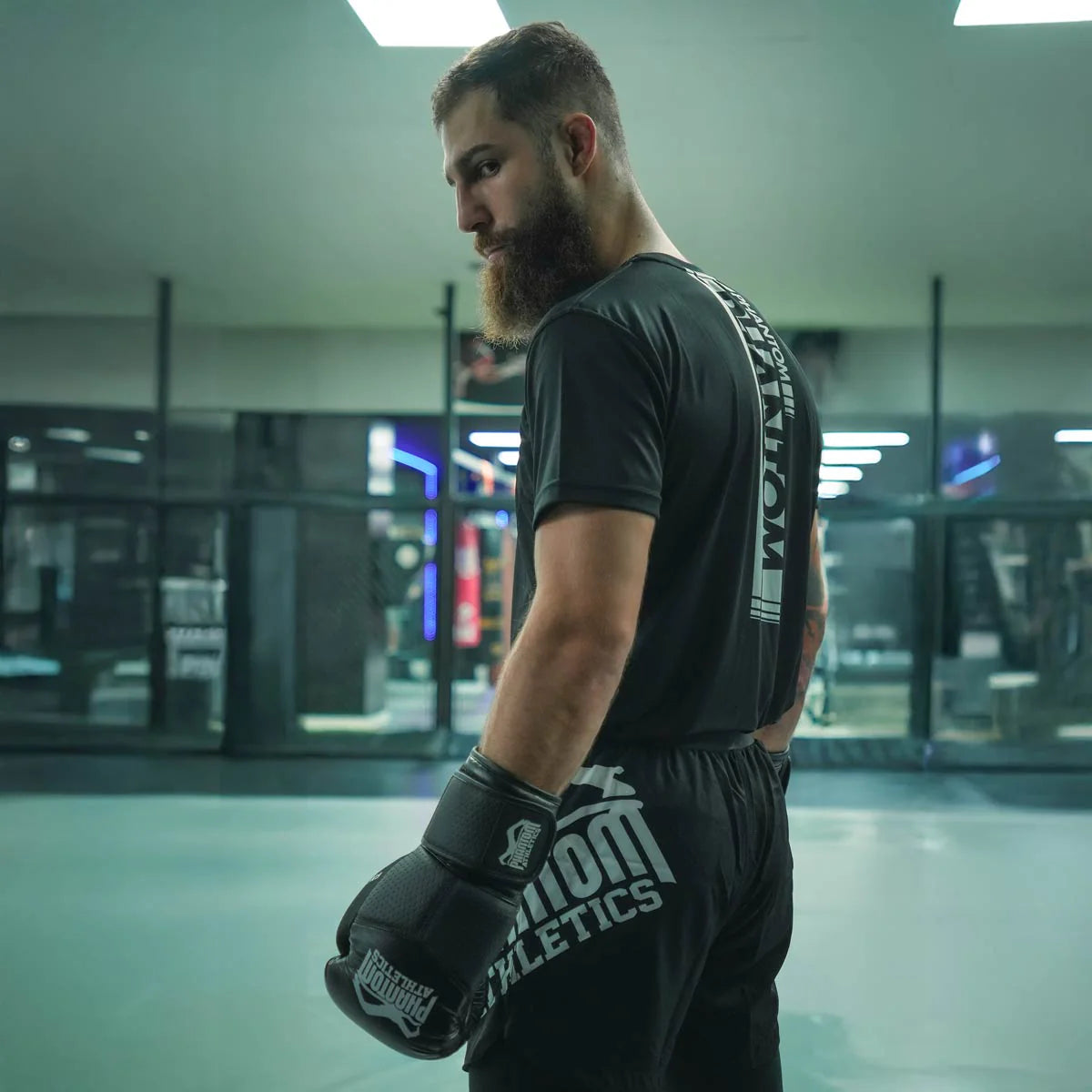 Phantom Athletics Boxhandschuhe RIOT Pro