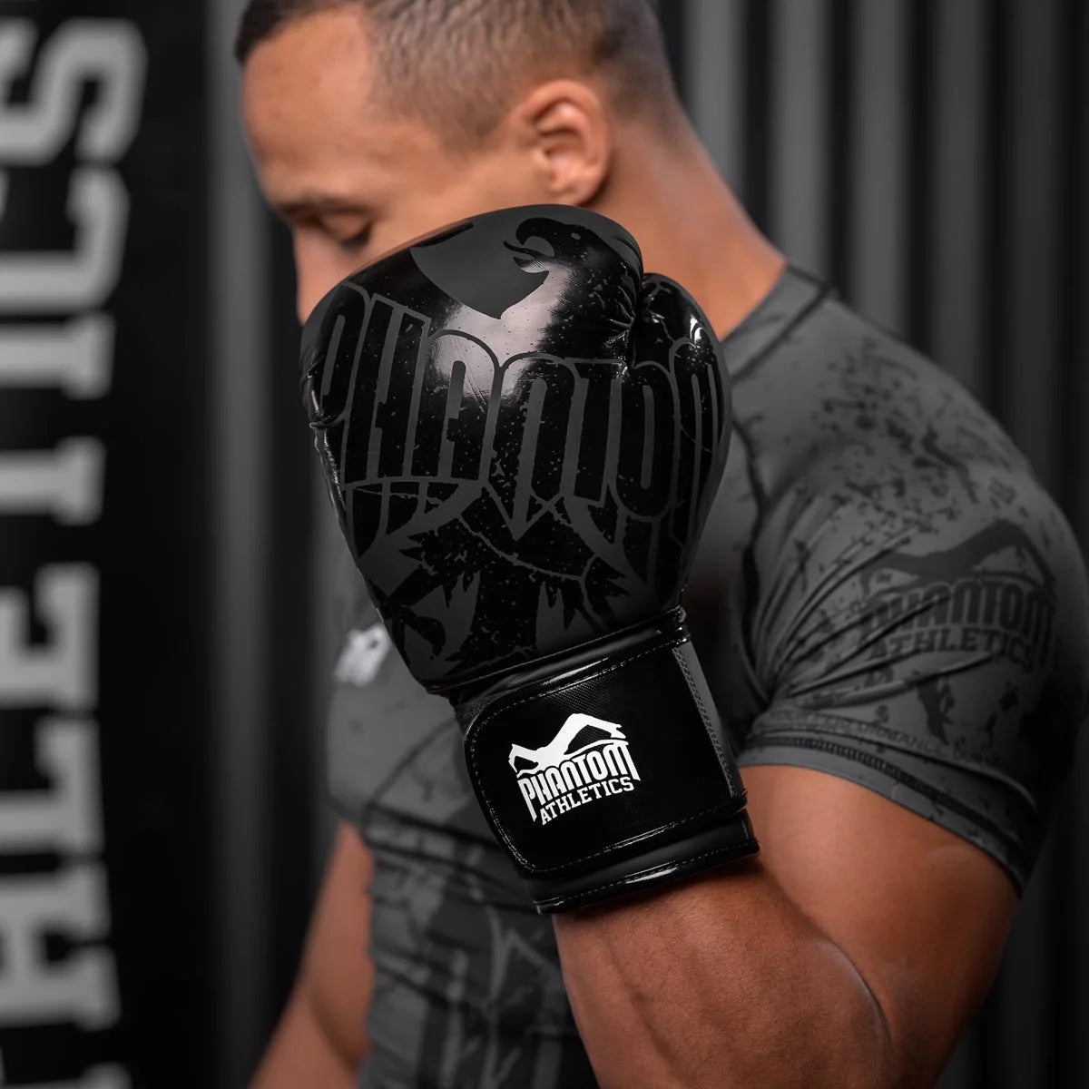 Phantom Athletics Boxhandschuhe German Eagle