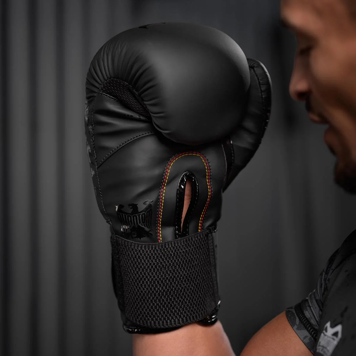 Phantom Athletics Boxhandschuhe German Eagle