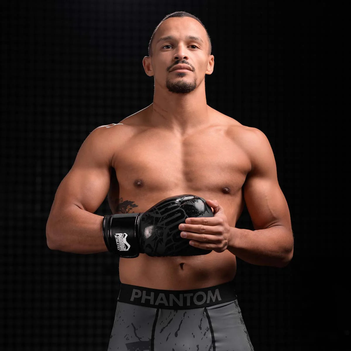Phantom Athletics Boxhandschuhe German Eagle