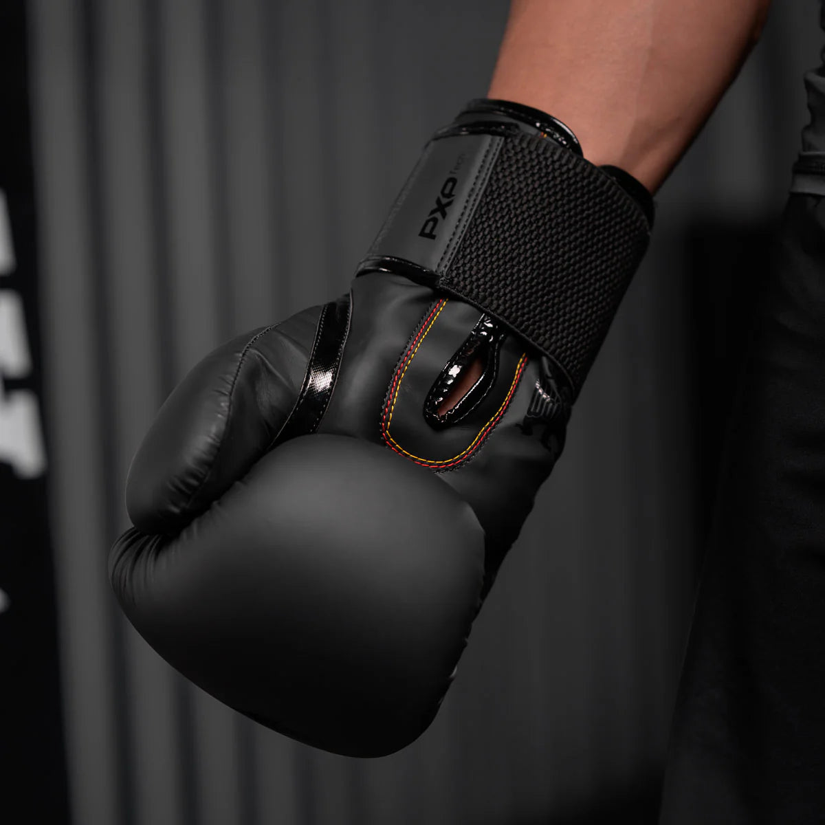 Phantom Athletics Boxhandschuhe German Eagle
