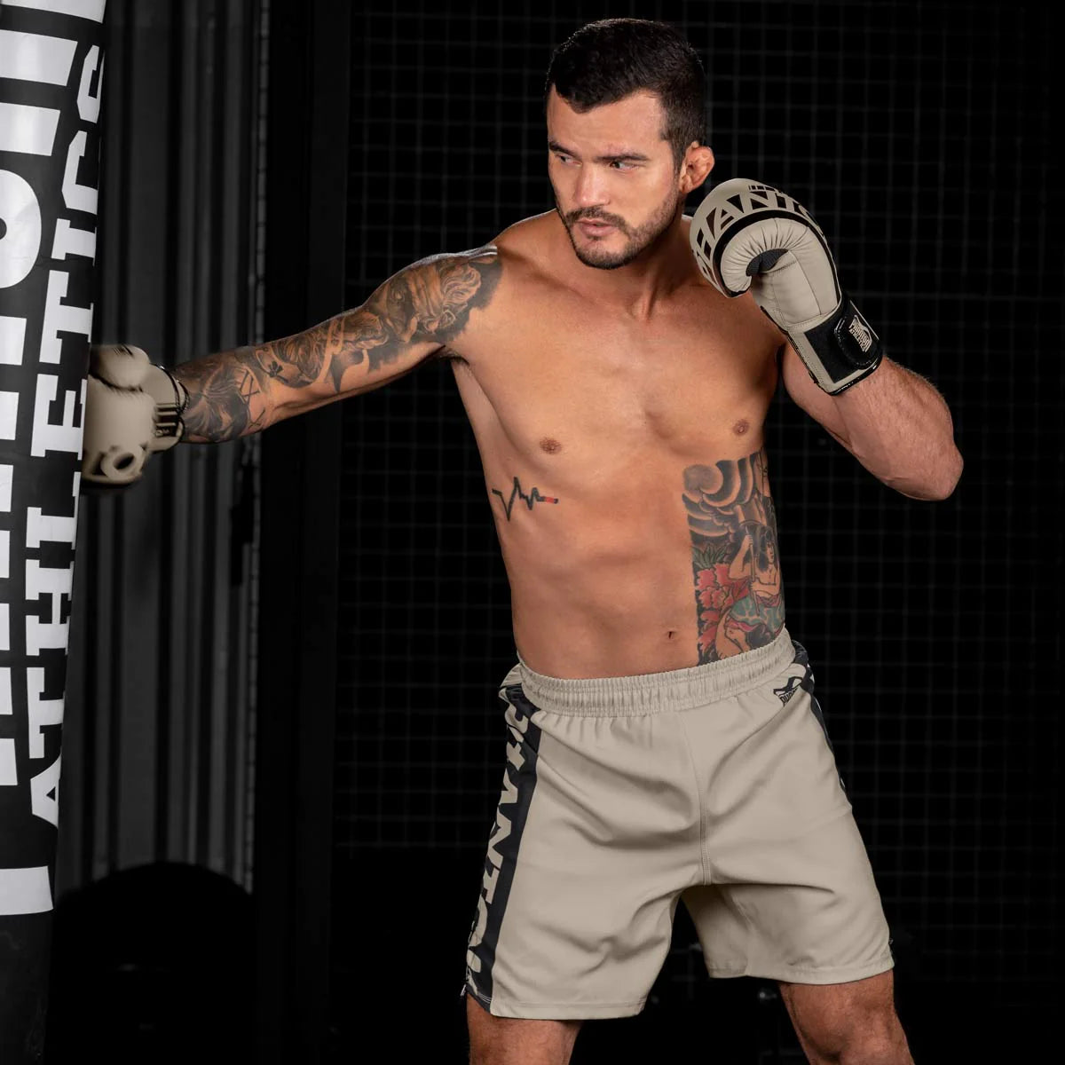 Phantom Athletics Boxhandschuhe APEX - Sand