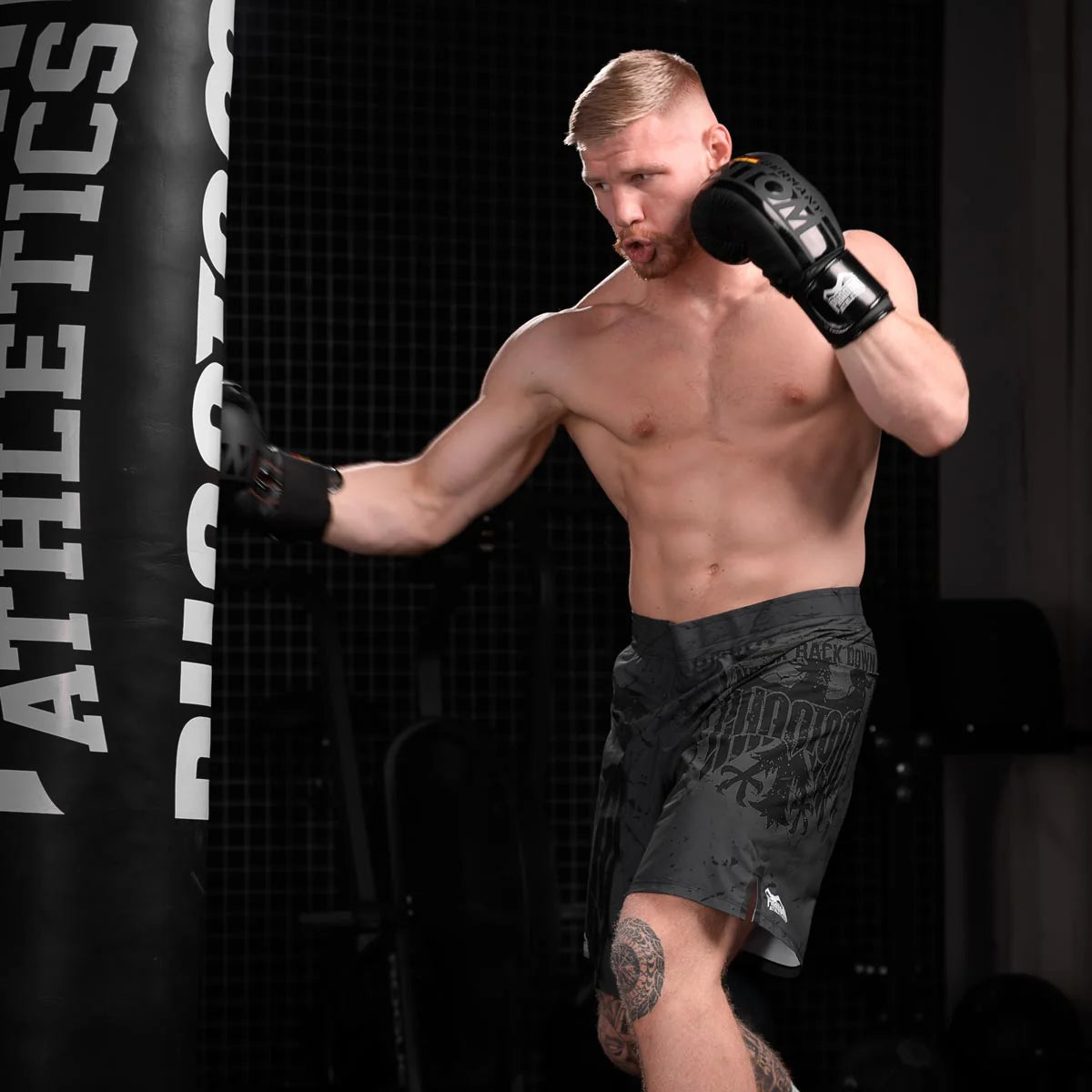 Phantom Athletics Boxhandschuhe Germany