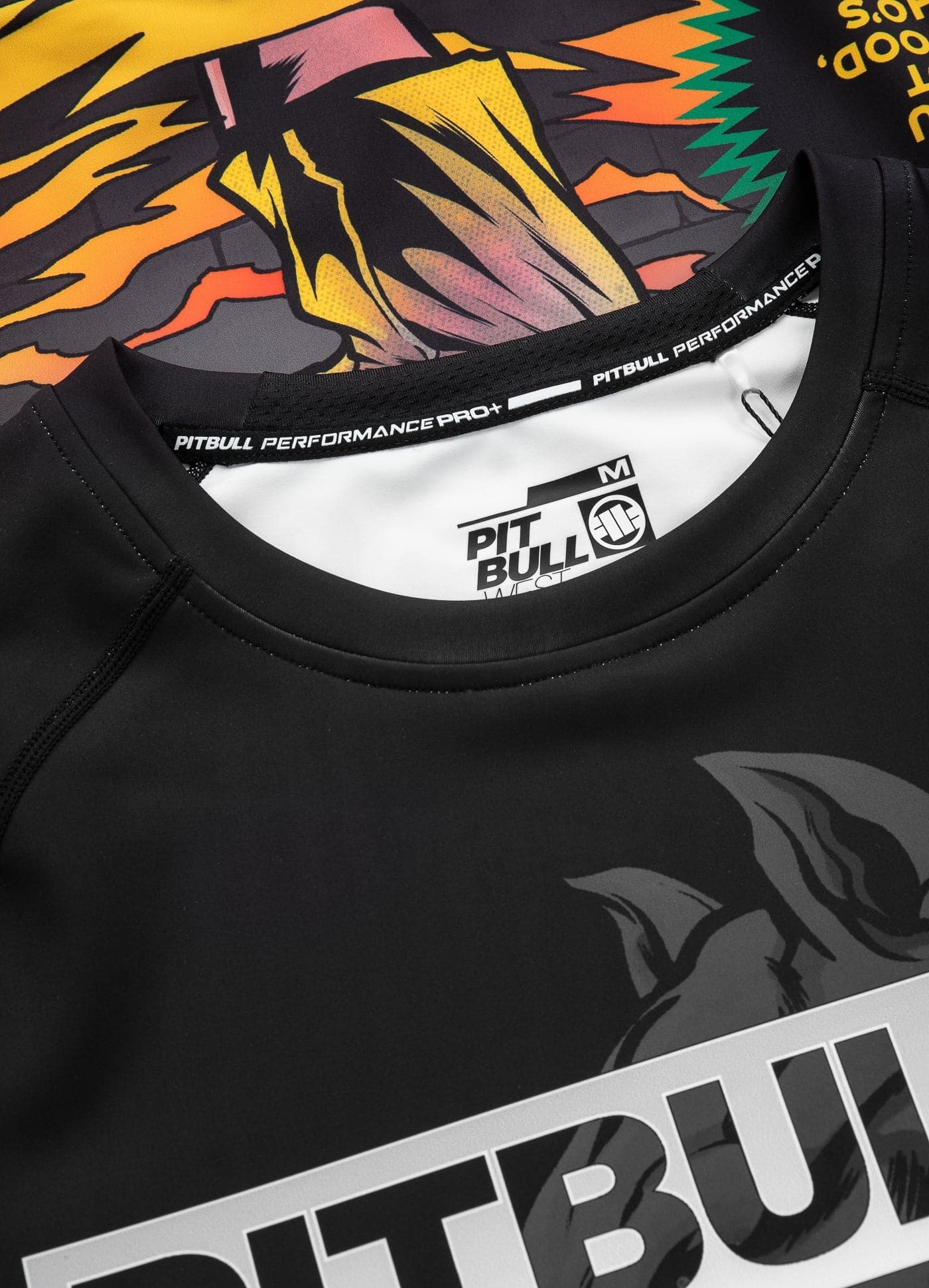 PITBULL MASTER OF BJJ HILLTOP Rashguard noir