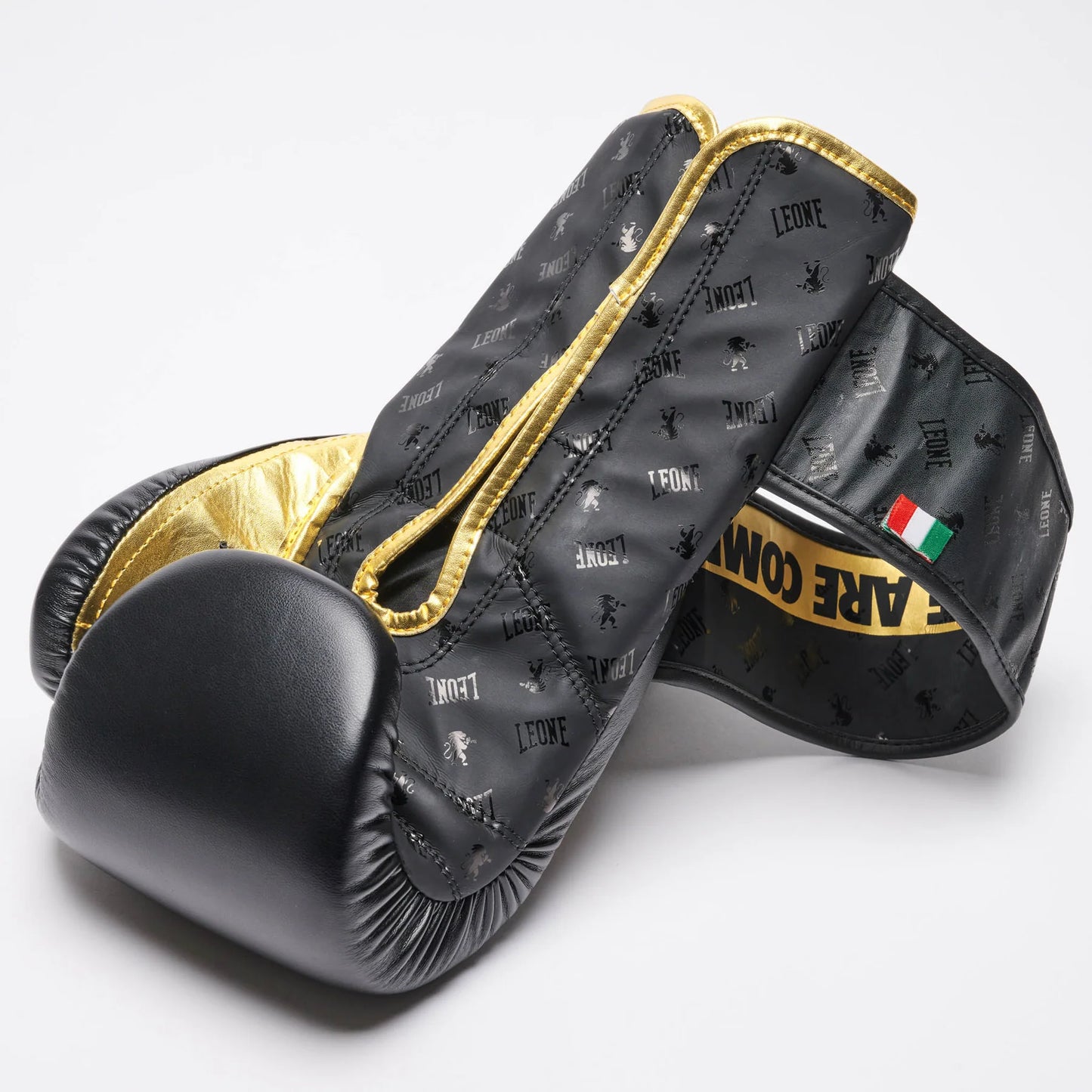 LEONE DNA Boxhandschuhe - Schwarz - FIGHTWEAR