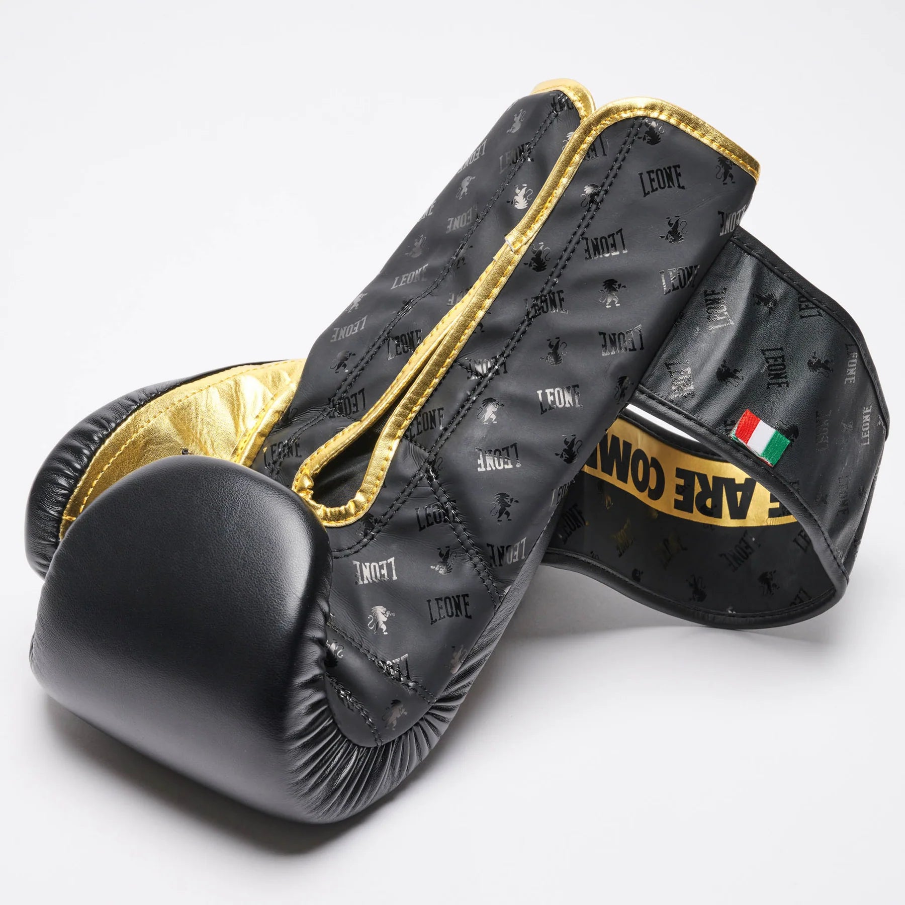 LEONE DNA Boxhandschuhe - Schwarz - FIGHTWEAR