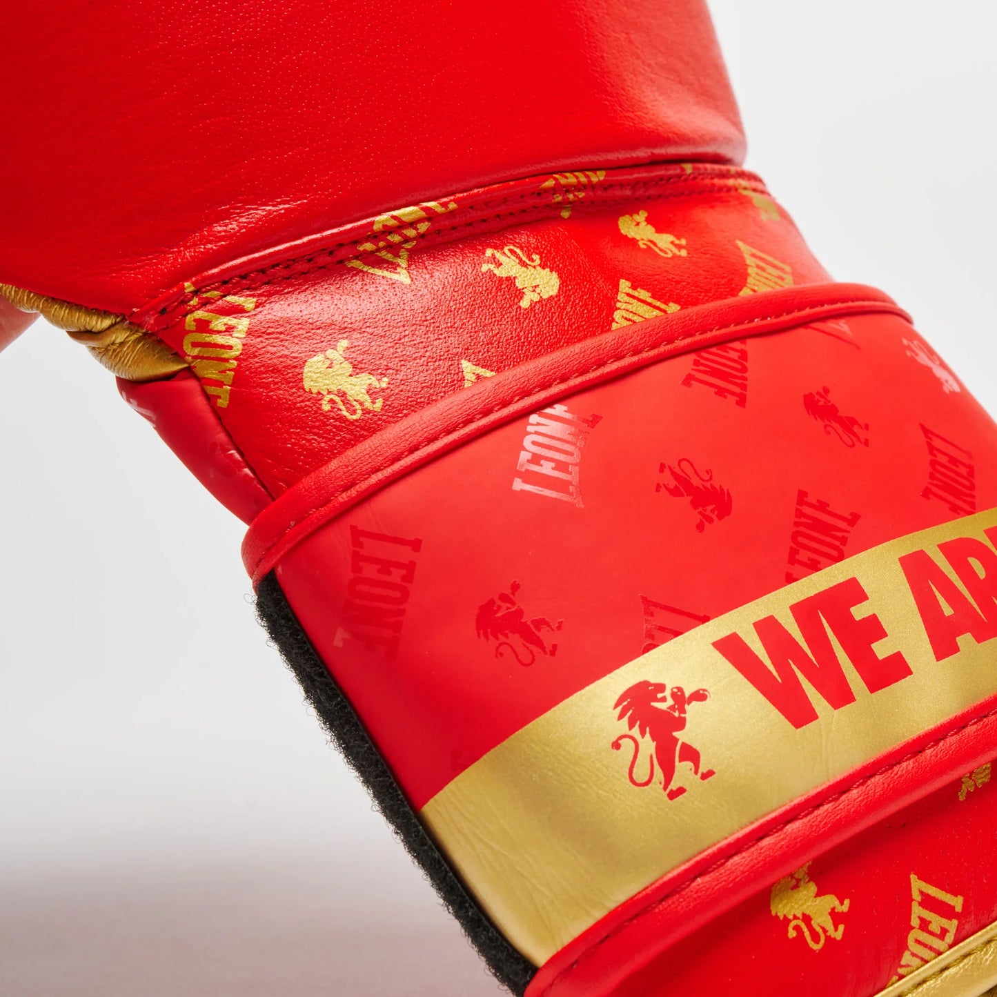 LEONE DNA Boxhandschuhe - Rot - FIGHTWEAR