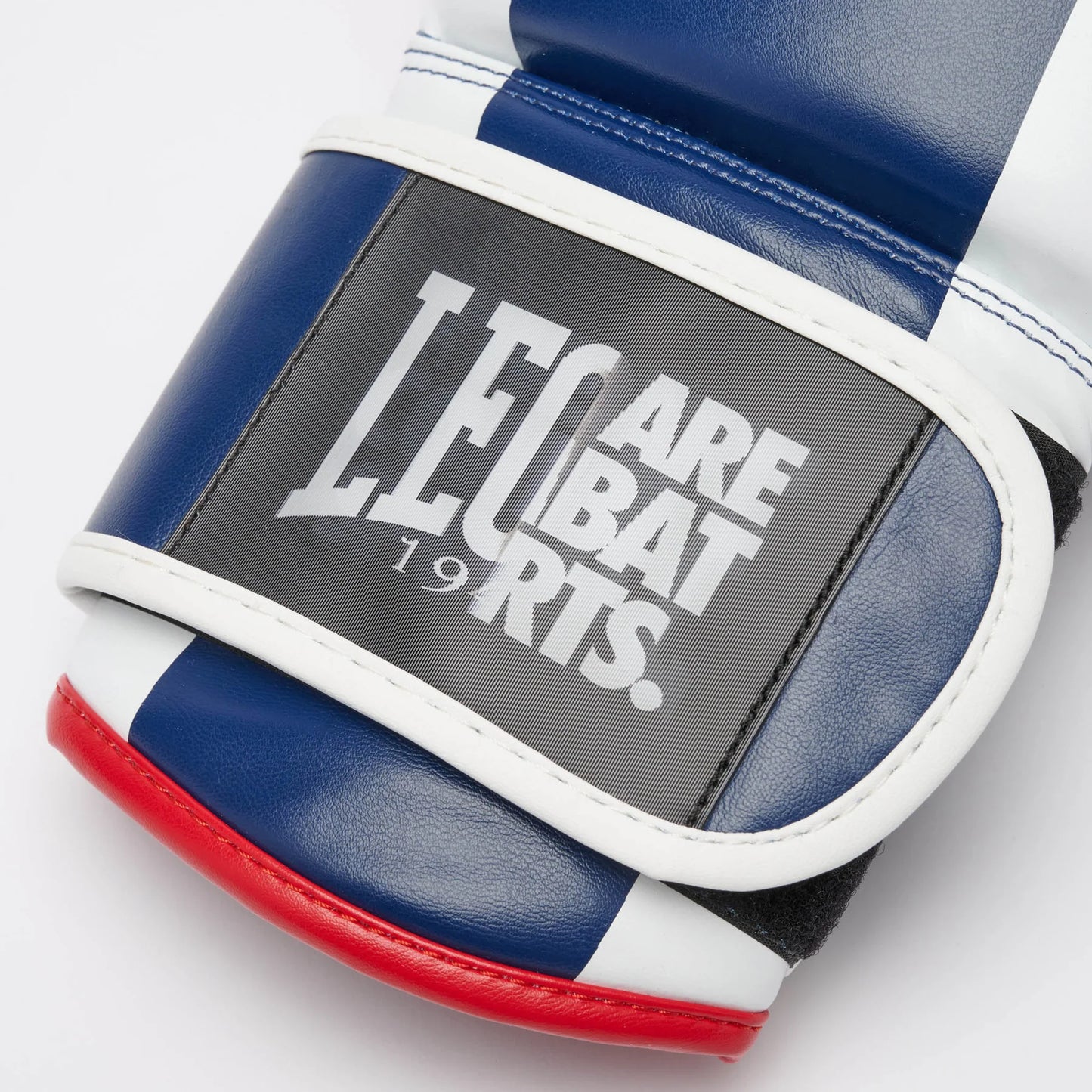 LEONE COLOR BLOCK Boxhandschuhe - Blau - FIGHTWEAR