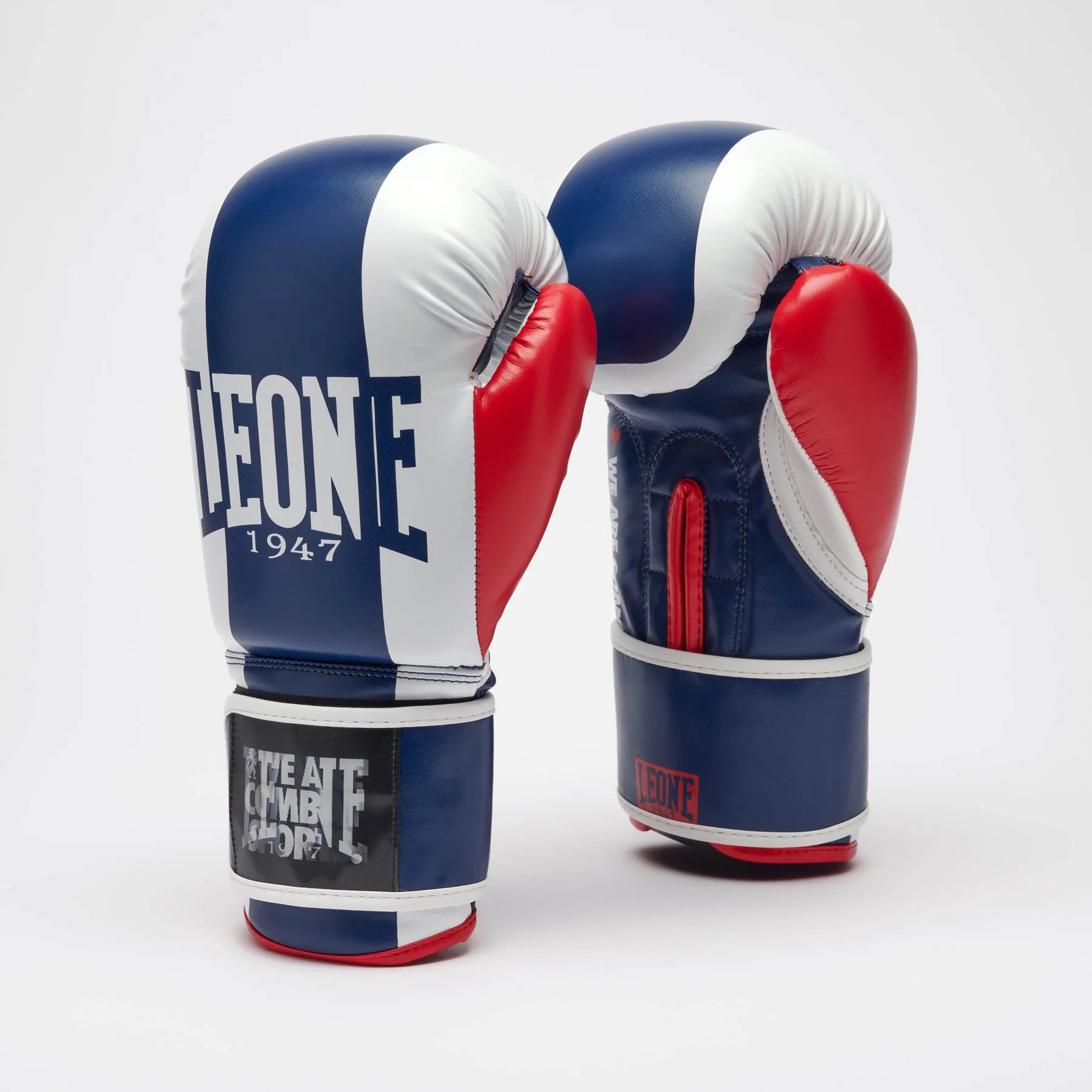 LEONE COLOR BLOCK Boxhandschuhe - Blau - FIGHTWEAR