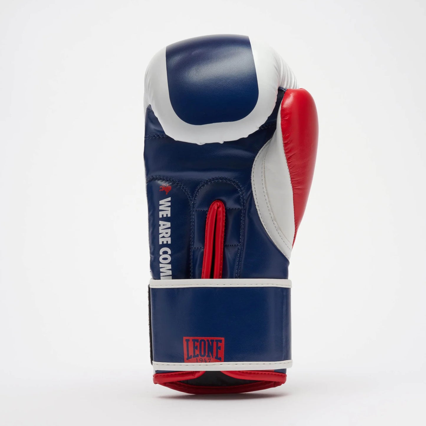 LEONE COLOR BLOCK Boxhandschuhe - Blau - FIGHTWEAR