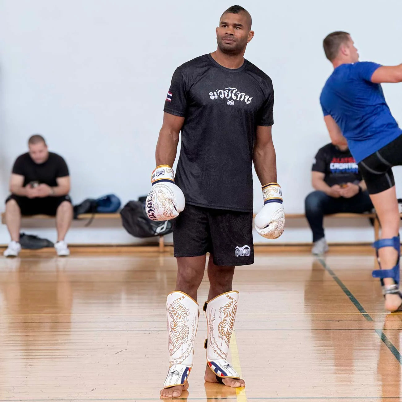 Phantom Athletics Boxhandschuhe Muay Thai - Limited Edition