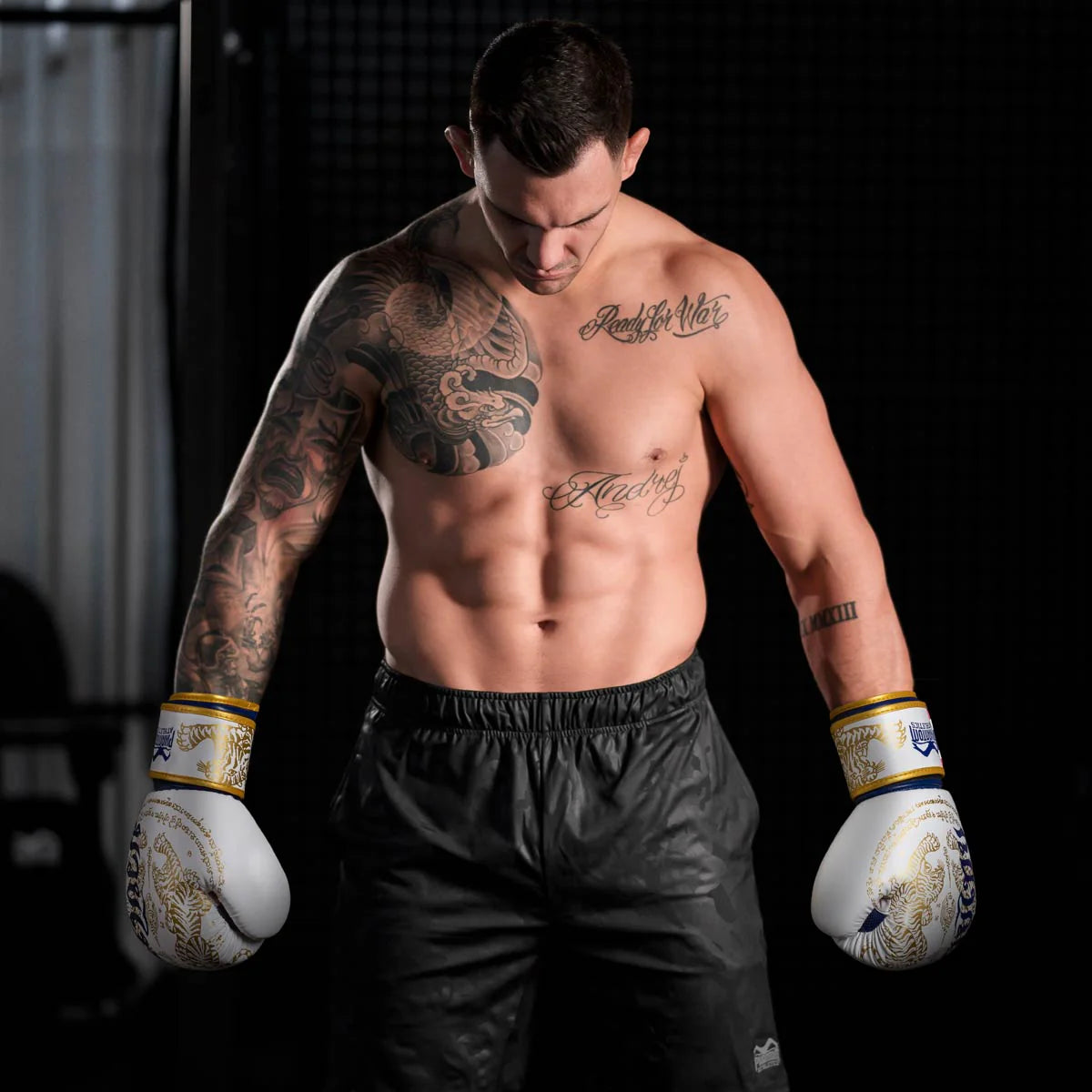 Phantom Athletics Boxhandschuhe Muay Thai - Limited Edition