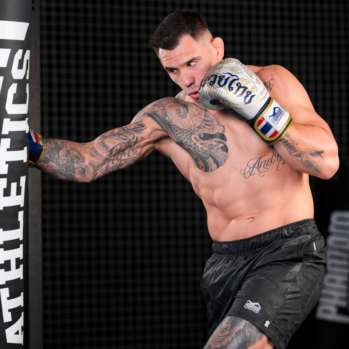 Phantom Athletics Boxhandschuhe Muay Thai - Limited Edition