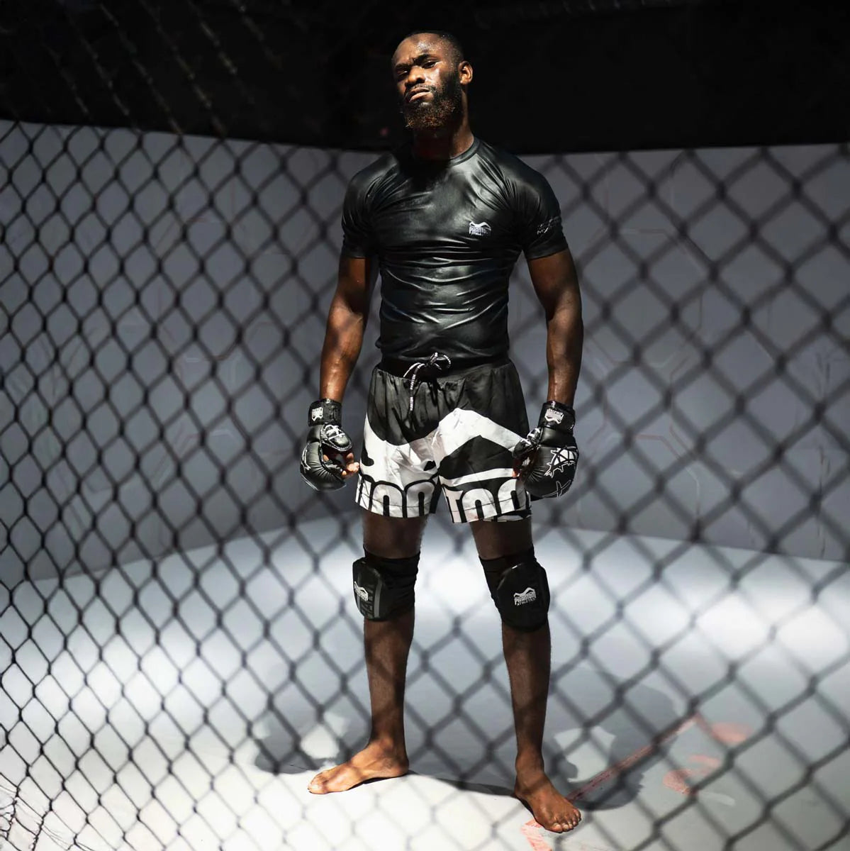 Phantom Athletics MMA Sparring Handschuhe Serious
