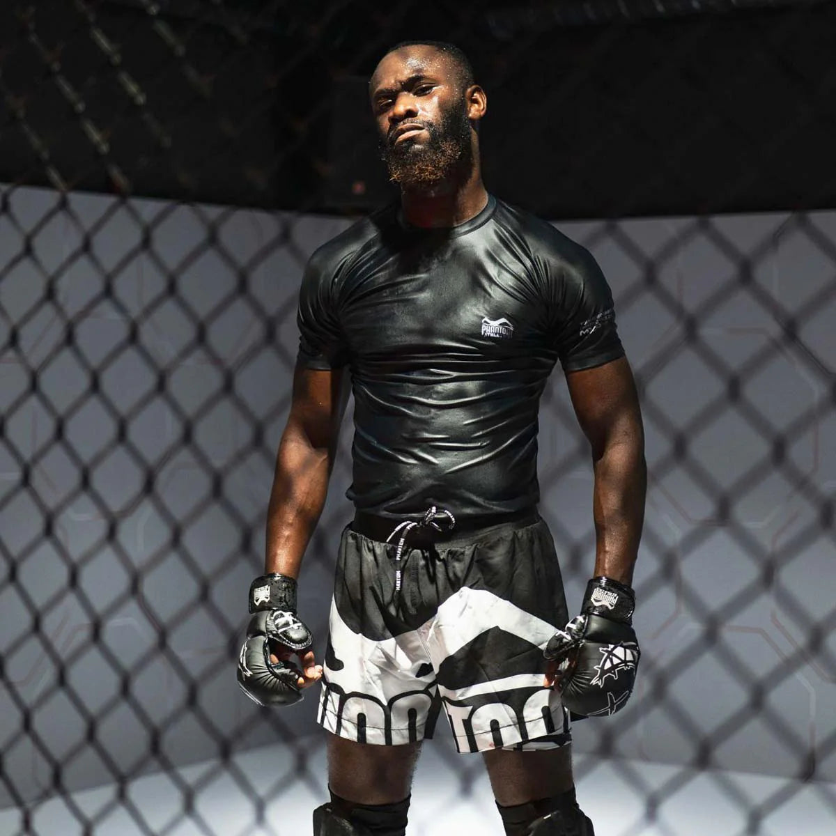 Phantom Athletics MMA Sparring Handschuhe Serious