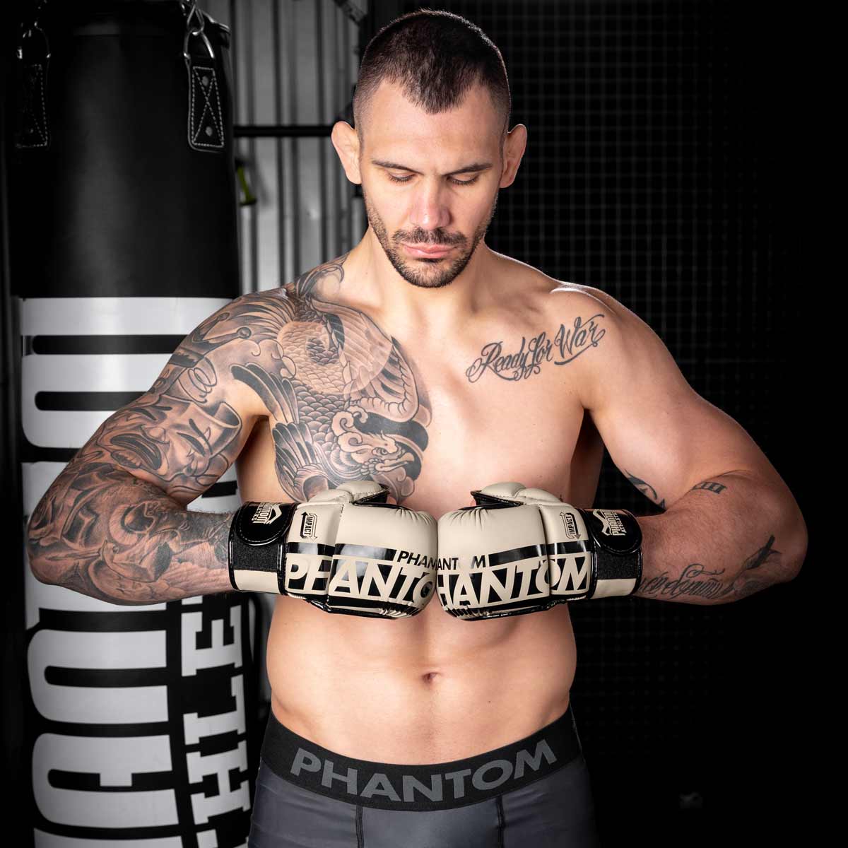 Phantom Athletics MMA Sparring Handschuhe APEX - Sandgrau