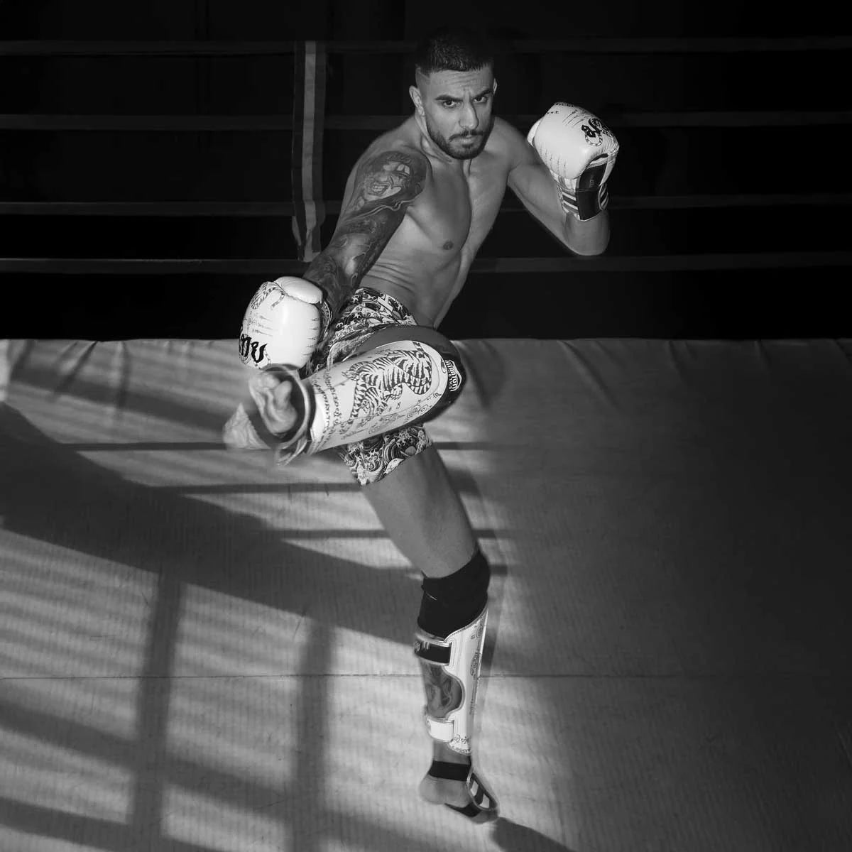 Phantom Athletics Schienbeinschutz Muay Thai Limited Edition - Weiss/Gold