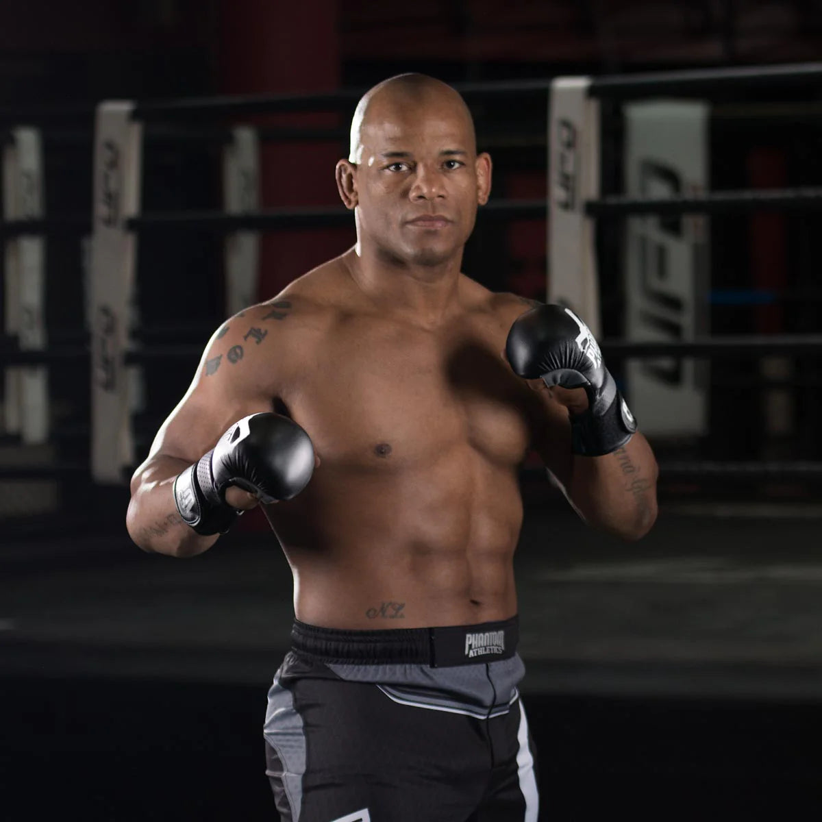 Phantom Athletics MMA Sparring Handschuhe RIOT