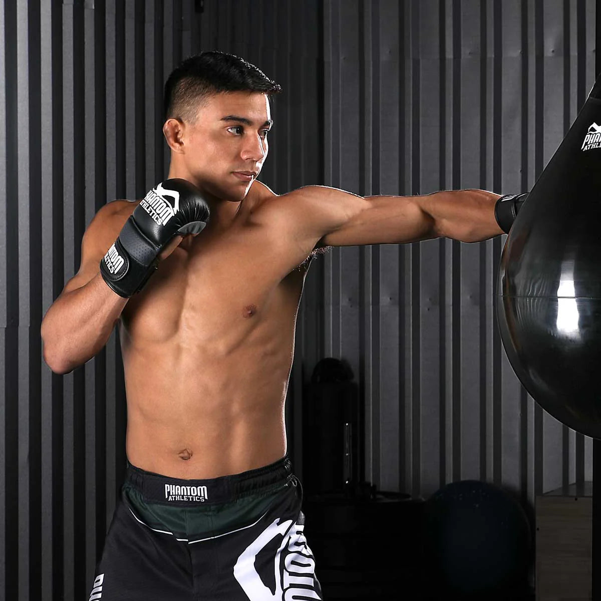Phantom Athletics MMA Sparring Handschuhe RIOT
